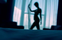 The Most Popular Categories of XXX Movies